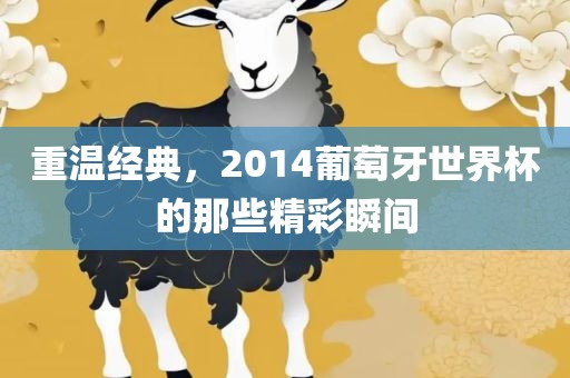重温经典，2014葡萄牙世界杯的那些精彩瞬间
