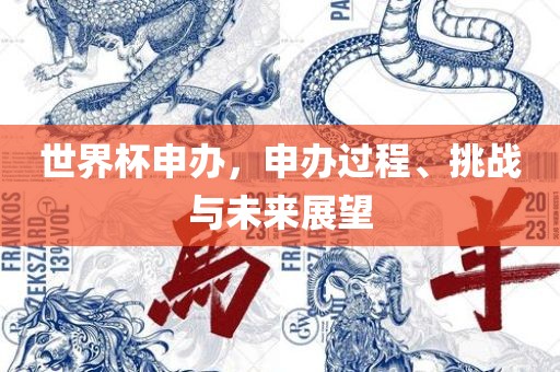 世界杯申办，申办过程、挑战与未来展望