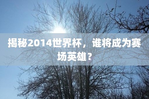 揭秘2014世界杯，谁将成为赛场英雄？