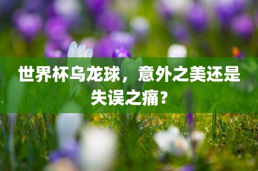 世界杯乌龙球，意外之美还是失误之痛？