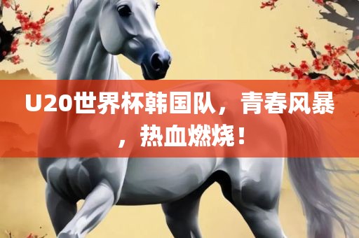 U20世界杯韩国队，青春风暴，热血燃烧！