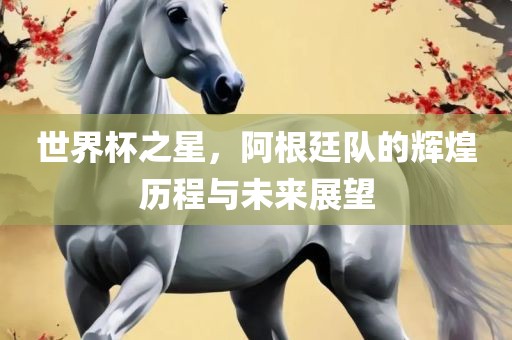 世界杯之星，阿根廷队的辉煌历程与未来展望