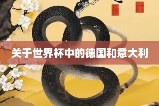 关于世界杯中的德国和意大利