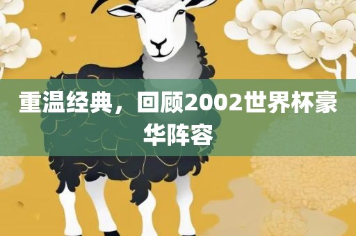 重温经典，回顾2002世界杯豪华阵容