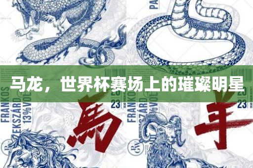 马龙，世界杯赛场上的璀璨明星
