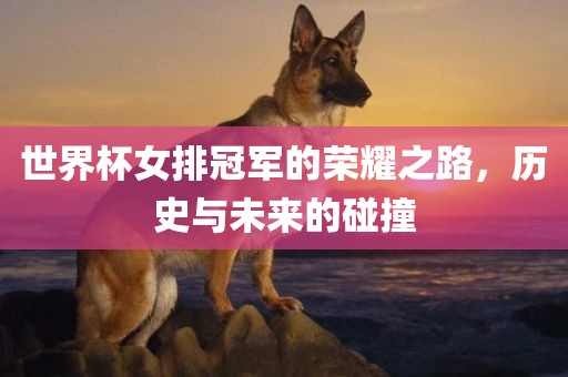 世界杯女排冠军的荣耀之路，历史与未来的碰撞