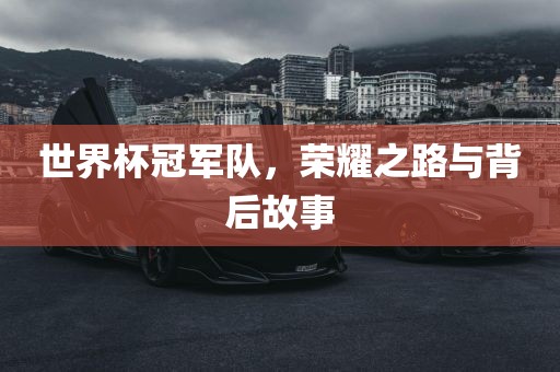 世界杯冠军队，荣耀之路与背后故事