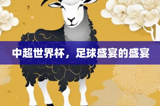中超世界杯，足球盛宴的盛宴