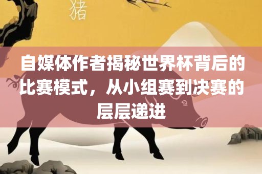 自媒体作者揭秘世界杯背后的比赛模式，从小组赛到决赛的层层递进
