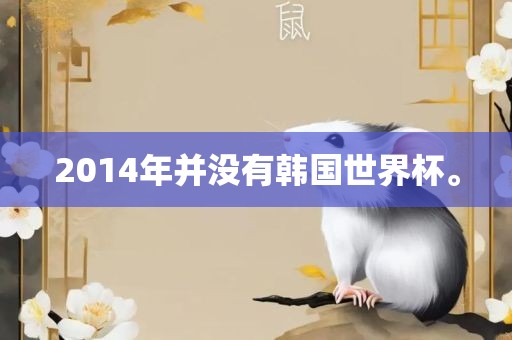 2014年并没有韩国世界杯。