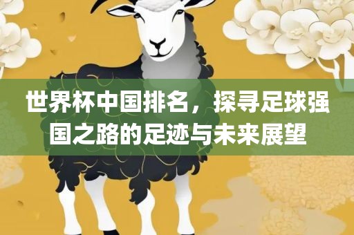 世界杯中国排名，探寻足球强国之路的足迹与未来展望