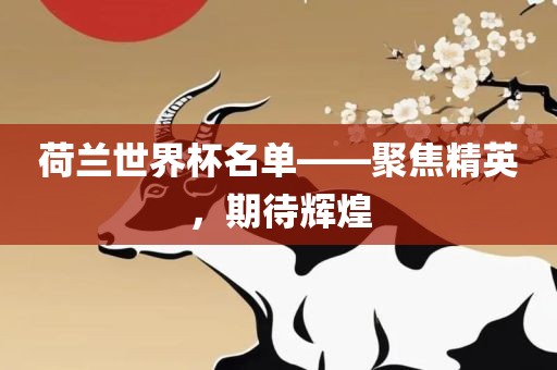 荷兰世界杯名单——聚焦精英，期待辉煌
