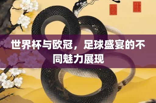 世界杯与欧冠，足球盛宴的不同魅力展现
