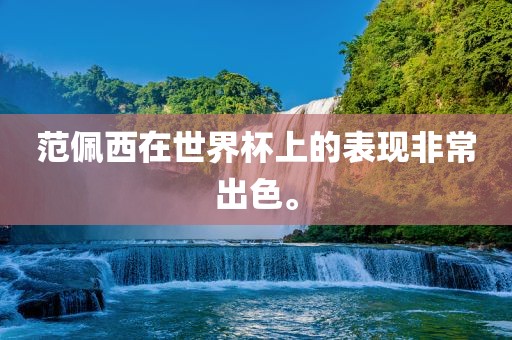 范佩西在世界杯上的表现非常出色。