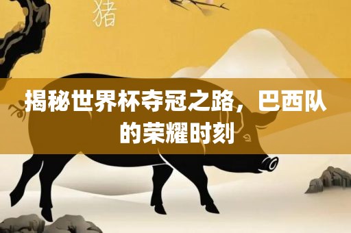 揭秘世界杯夺冠之路，巴西队的荣耀时刻
