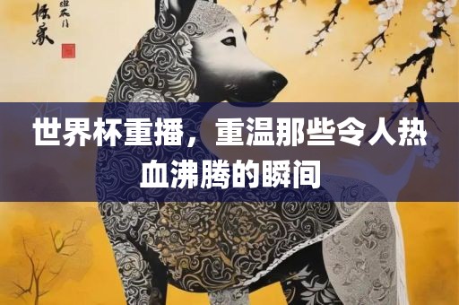 世界杯重播，重温那些令人热血沸腾的瞬间漯河市盈旭机械设备有限公司