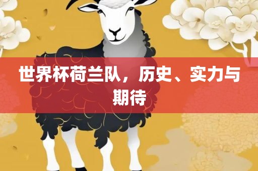 世界杯荷兰队，历史、实力与期待