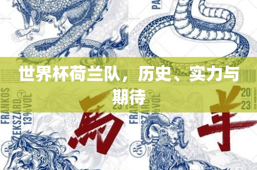 世界杯荷兰队，历史、实力与期待