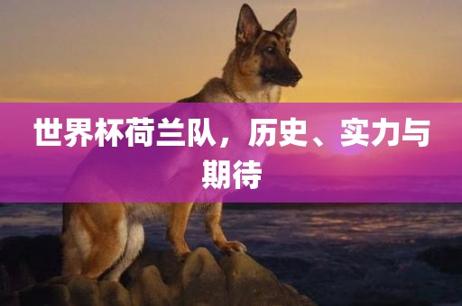 世界杯荷兰队，历史、实力与期待