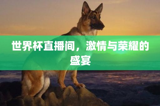 世界杯直播间，激情与荣耀的盛宴