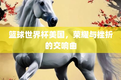 篮球世界杯美国，荣耀与挫折的交响曲