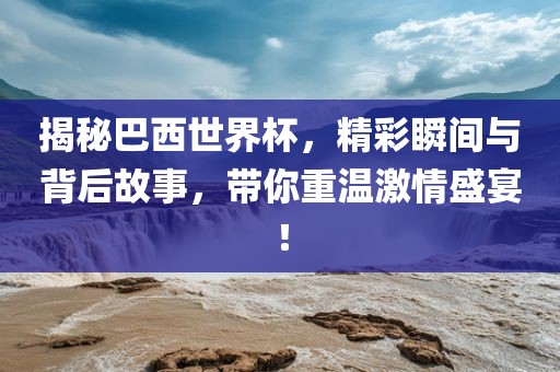 巴西世界杯 第4页