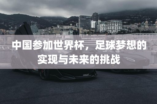 中国参加世界杯，足球梦想的实现与未来的挑战