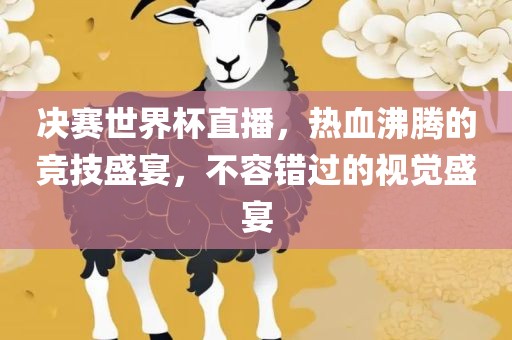 决赛世界杯直播，热血沸腾的竞技盛宴，不容错过的视觉盛宴