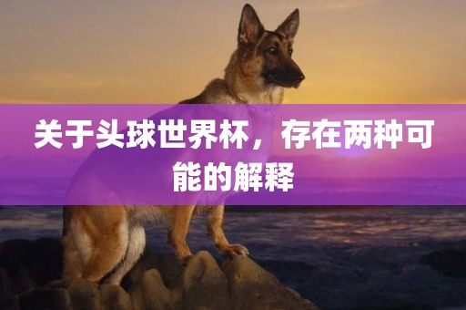 关于头球世界杯，存在两种可能的解释