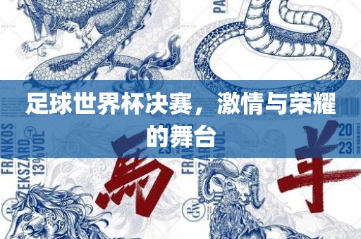 足球世界杯决赛，激情与荣耀的舞台