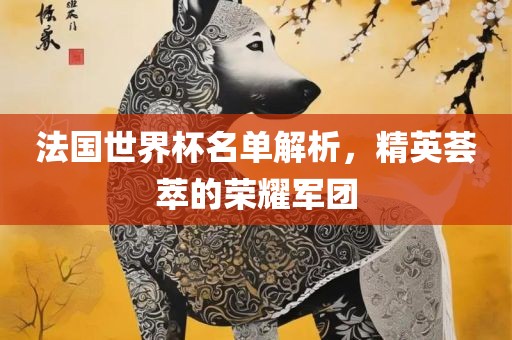 法国世界杯名单解析，精英荟萃的荣耀军团