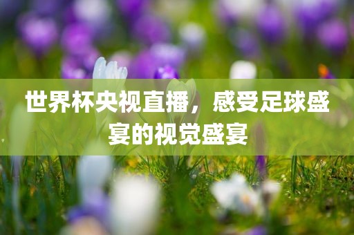 世界杯央视直播，感受足球盛宴的视觉盛宴