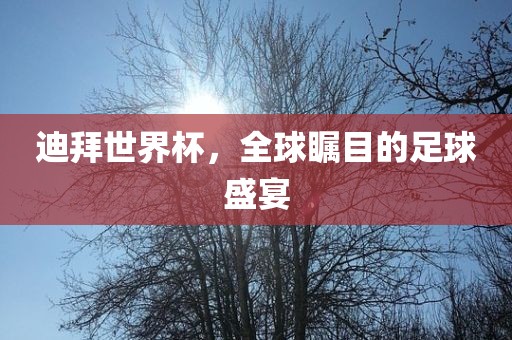 迪拜世界杯，全球瞩目的足球盛宴