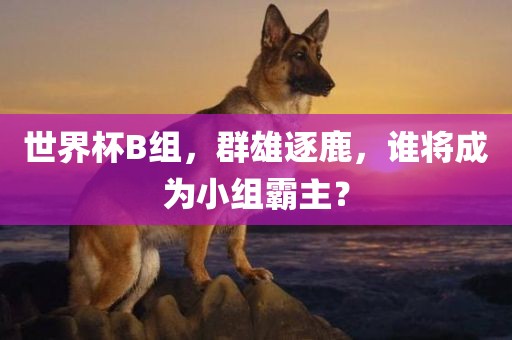 世界杯B组，群雄逐鹿，谁将成为小组霸主？