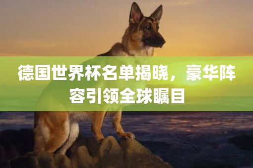 德国世界杯名单揭晓，豪华阵容引领全球瞩目