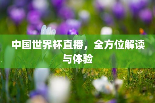 全方位解读与体验（或可简化为“赛事解读体验”）