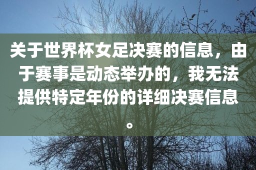 关于世界杯女足决赛的信息，由于赛事是动态举办的，我无法提供特定年份的详细决赛信息。漯河市盈旭机械设备有限公司