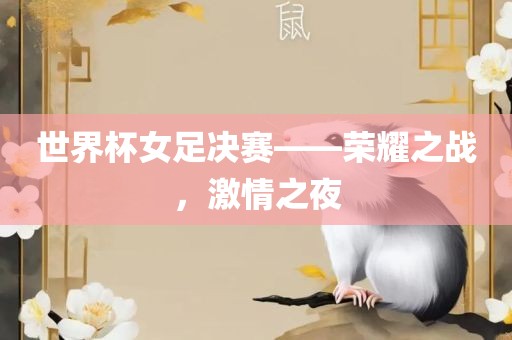世界杯女足决赛——荣耀之战，激情之夜