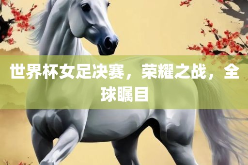 世界杯女足决赛，荣耀之战，全球瞩目