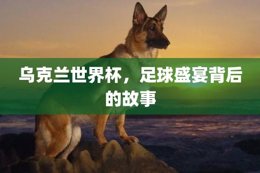 乌克兰世界杯，足球盛宴背后的故事