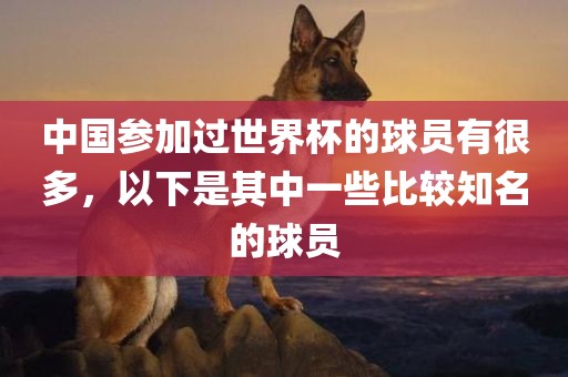 中国参加过世界杯的球员有很多，以下是其中一些比较知名的球员