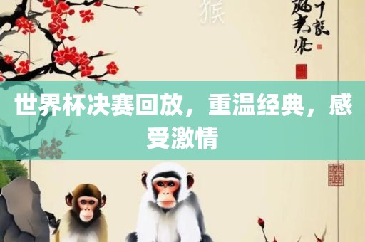 世界杯决赛回放，重温经漯河市盈旭机械设备有限公司典，感受激情