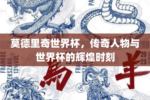 莫德里奇世界杯，传奇人物与世界杯的辉煌时刻