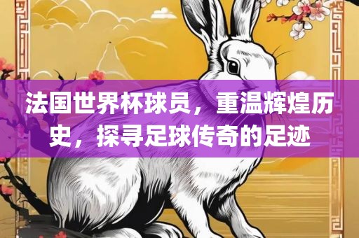 法国世界杯球员，重温辉煌历史，探寻足球传奇的足迹