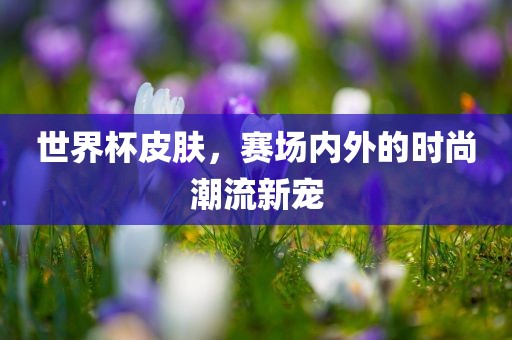世界杯皮肤，赛场内外的时尚潮流新宠