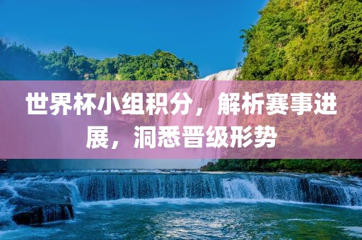 世界杯小组积分，解析赛事进展，洞悉晋级形势