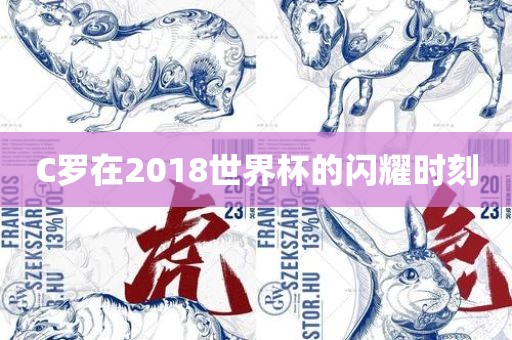 C罗在2018世界杯的闪耀时刻漯河市盈旭机械设备有限公司