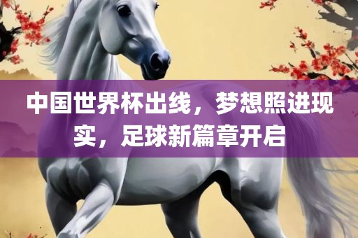 中国世界杯出线，梦想照进现实，足球新篇章开启