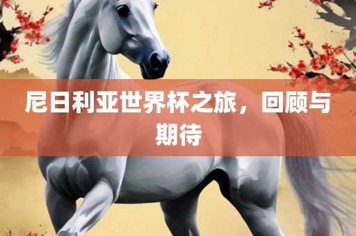 尼日利亚世界杯之旅，回顾与期待