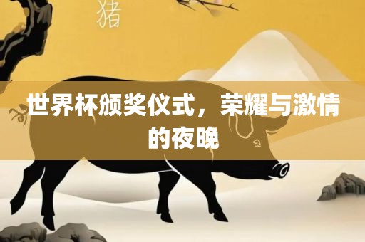 世界杯颁奖仪式，荣耀与激情的夜晚漯河市盈旭机械设备有限公司